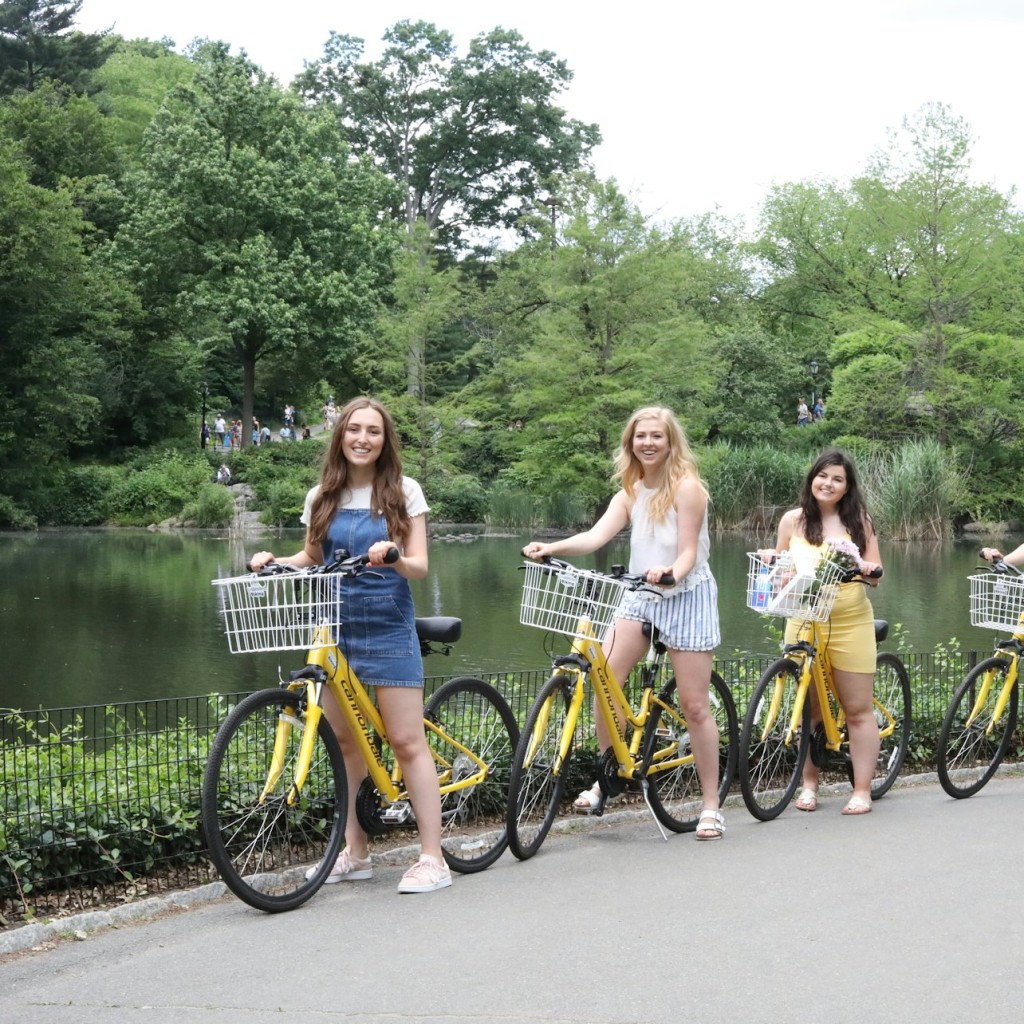 Ciudad de Nueva York: Alquiler de bicicletas en Central Park - 4-Hours - 3