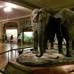 New York CityPASS®: Choose 5 Top New York City Attractions - 3