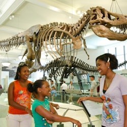 New York: Edge Observation Deck + 2 Attractions - 3