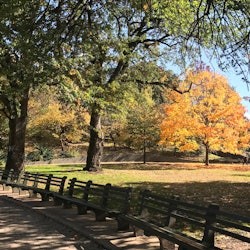 New York: Mount Morris Park Historic Walking Tour - 2