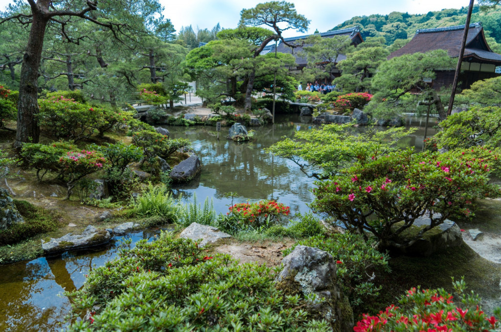 Nijo Castle, Kinkaku-ji Temple and Imperial Palace Tour from Kyoto - 1