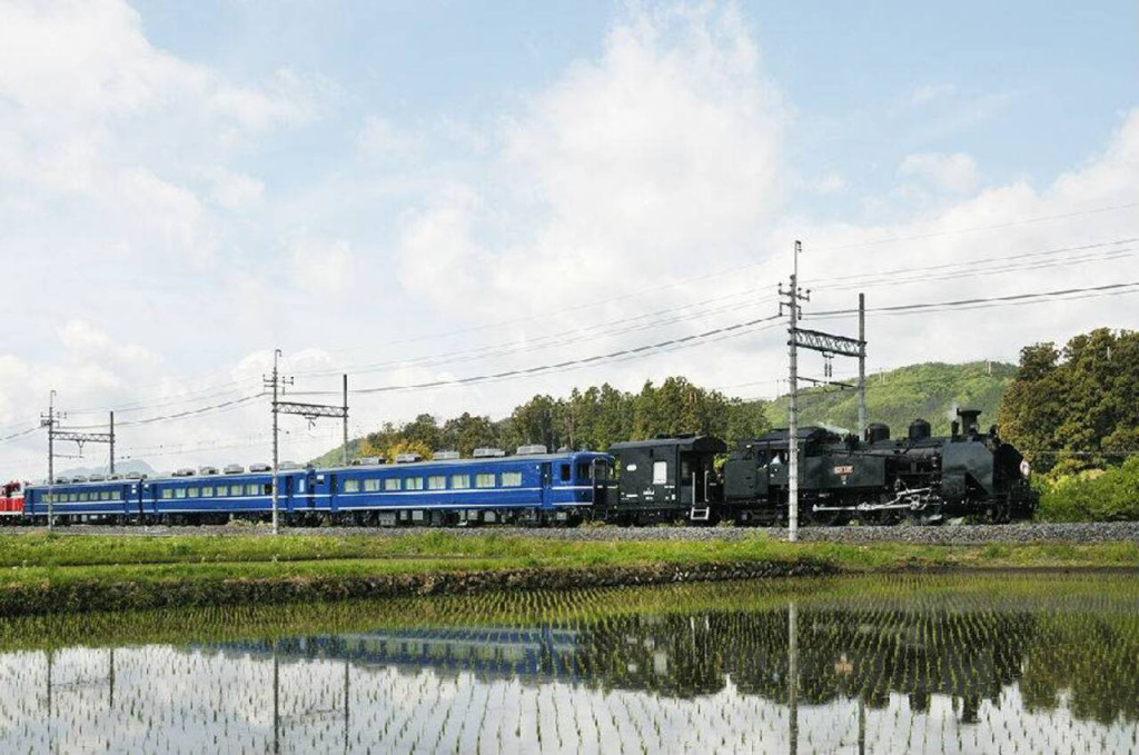 Nikko Pass All Area (Nikko Pass All Area - 4 Days) - 1