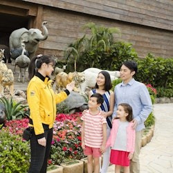 Noah's Ark: Entry Ticket - 1