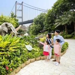 Noah's Ark: Entry Ticket - 2