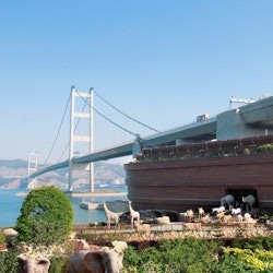 Noah's Ark: Entry Ticket - 3