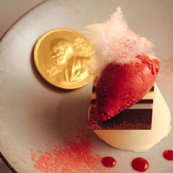 Nobel Prize Museum: Entry Ticket - 2