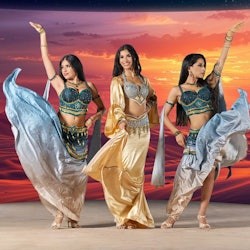 Noble Life Camp: Desert Safari + Live Show + Dinner + Transfers - 2