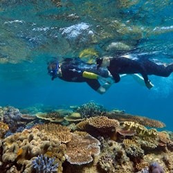 Nocturnal Rainforest & Wildlife Tour from Cairns - 2