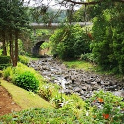 Nordeste: Waterfall, Hot Spring & Viewpoints Guided Tour - 3