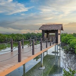 North Qatar: Private Tour - 3