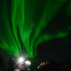 Northern Lights: 2-Hr Boat Tour - 1