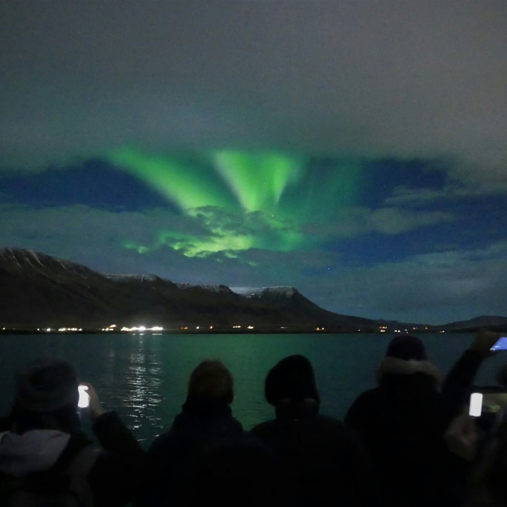 Northern Lights: 2-Hr Boat Tour + Alternative Plan - 1