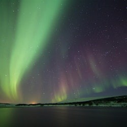 Northern Lights: 3-Hr Bus Tour + Transfer - 1