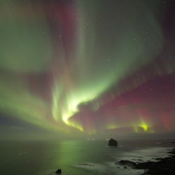 Northern Lights: 3-Hr Small Group Bus Tour + Transfer - 2
