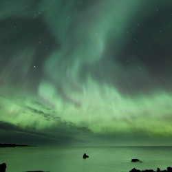 Northern Lights: 3-Hr Small Group Bus Tour + Transfer - 3