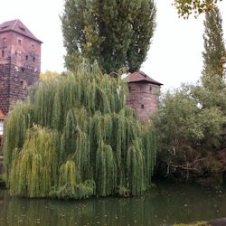 Nuremberg Day Tour from Munich - 2