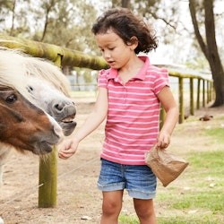 Oakvale Wildlife Park: Entry Ticket - 2