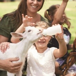 Oakvale Wildlife Park: Entry Ticket - 3