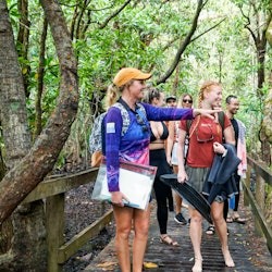 Ocean Safari Great Barrier Reef Tour from Cape Tribulation - 3