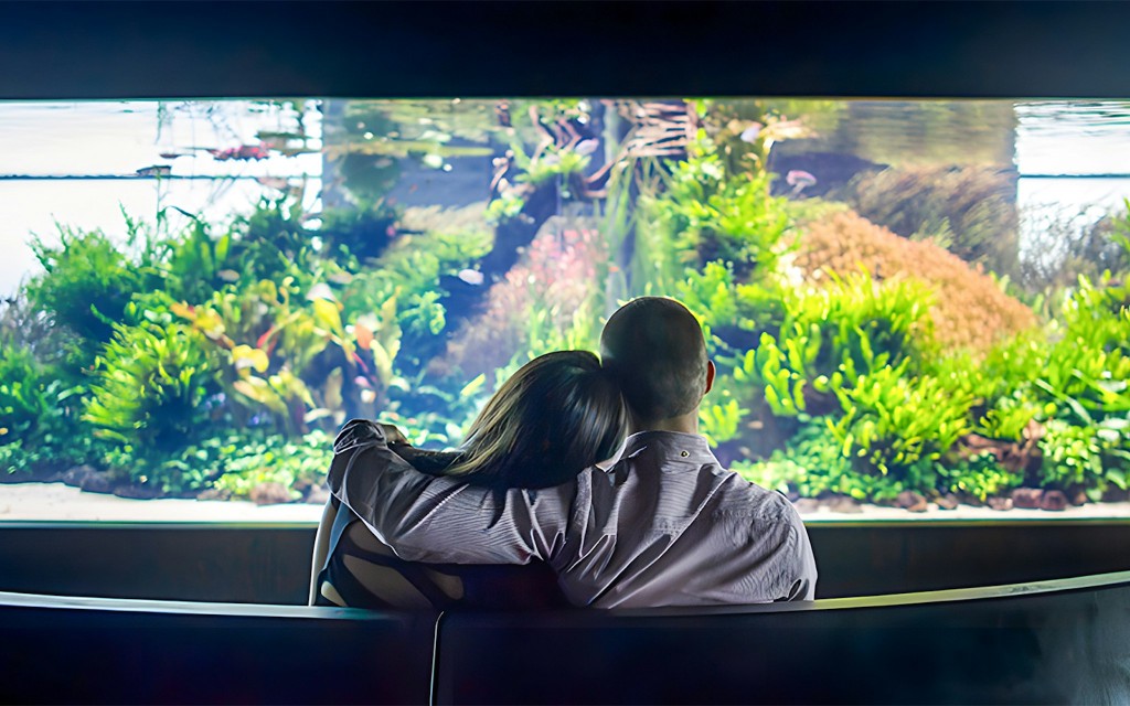 Oceanário de Lisboa Tickets (Skip-the-Line Entry Ticket ) - 2