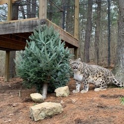 Oglebay Good Zoo: Entry Ticket - 2