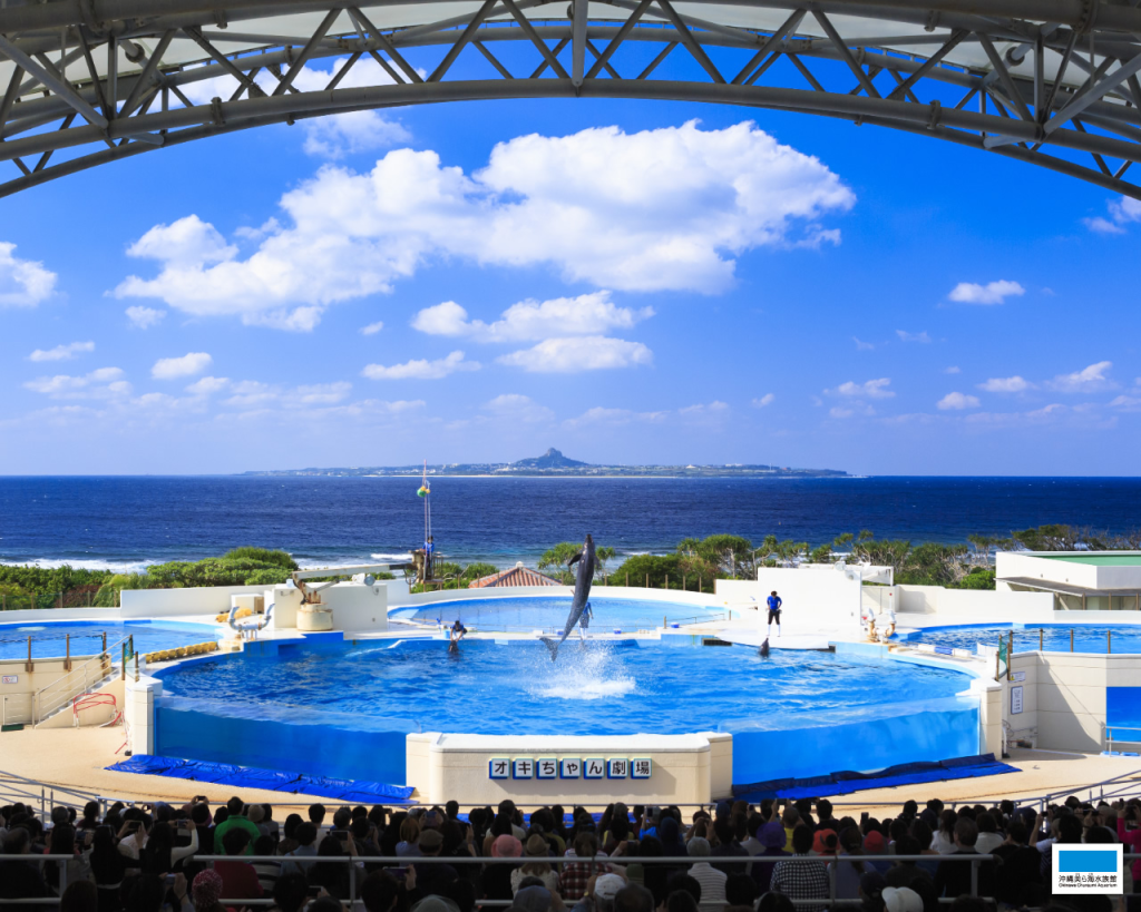 Okinawa Churaumi Aquarium (Okinawa Churaumi Aquarium - Admission) - 2