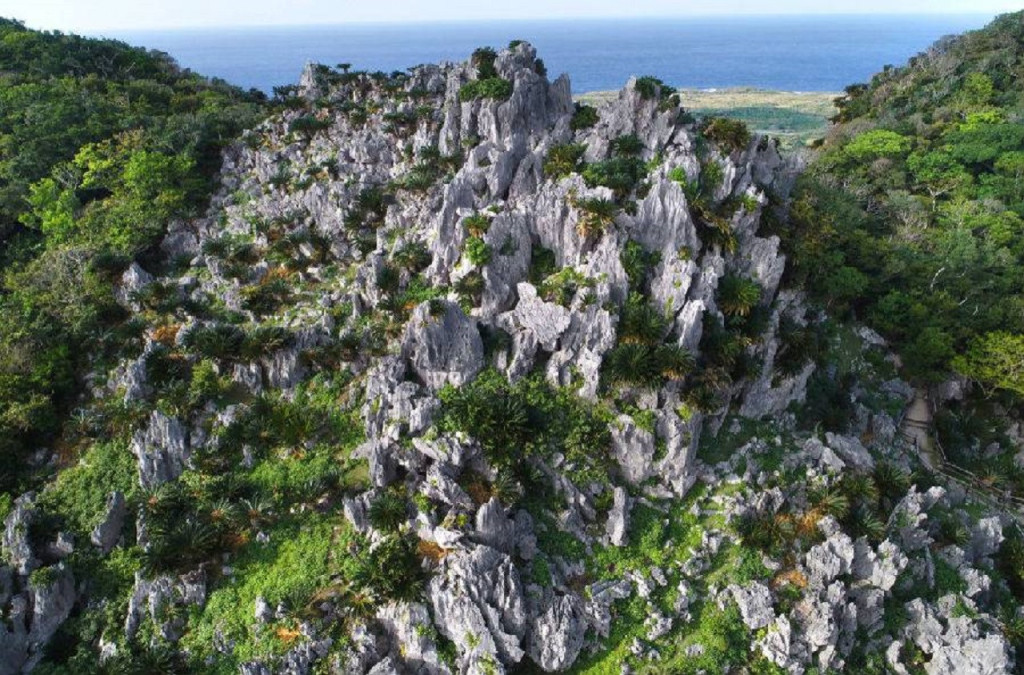 Okinawa Churaumi TokuToku 5 Pass (Okinawa Churaumi TokuToku 5 Pass - Okinawa Churaumi Aquarium + 4 Attractions) - 2