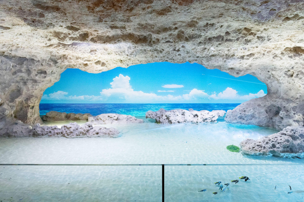 Okinawa DMM Kariyushi Aquarium (Okinawa DMM Kariyushi Aquarium - Admission (Youth)) - 2