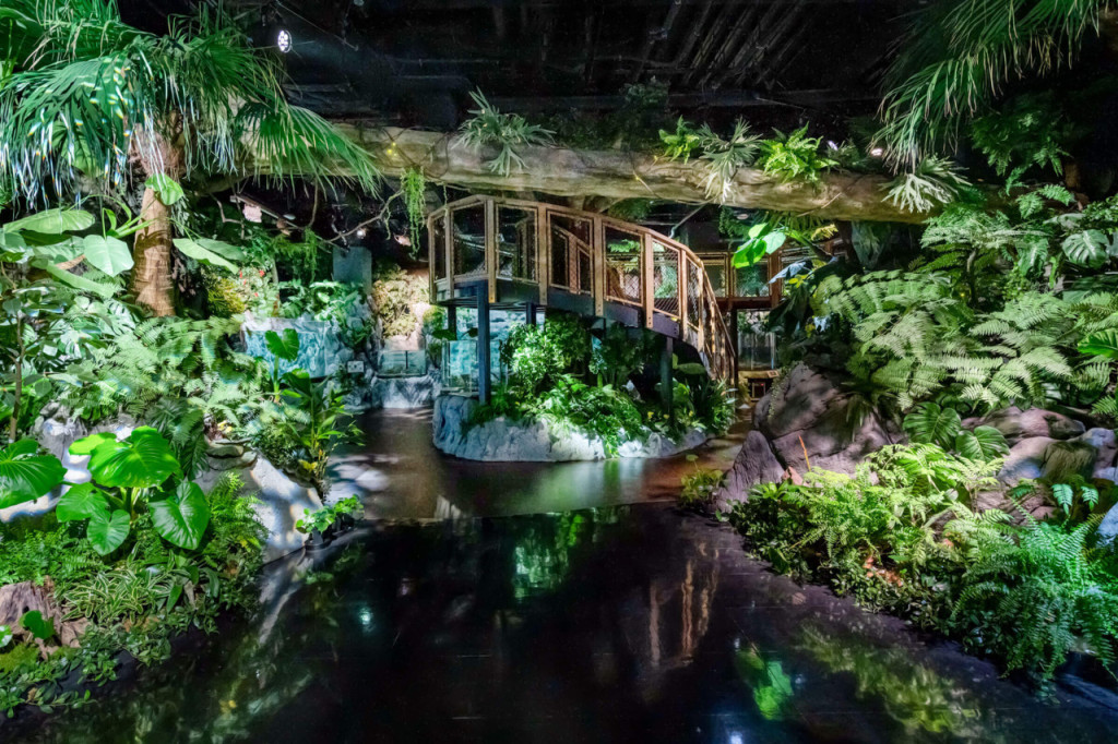 Okinawa DMM Kariyushi Aquarium (Okinawa DMM Kariyushi Aquarium - Admission (Youth)) - 3