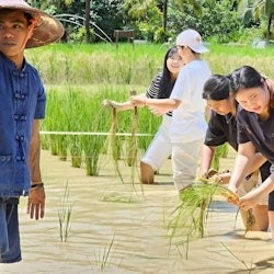 Old Phuket Farm: Guided Tour - 1