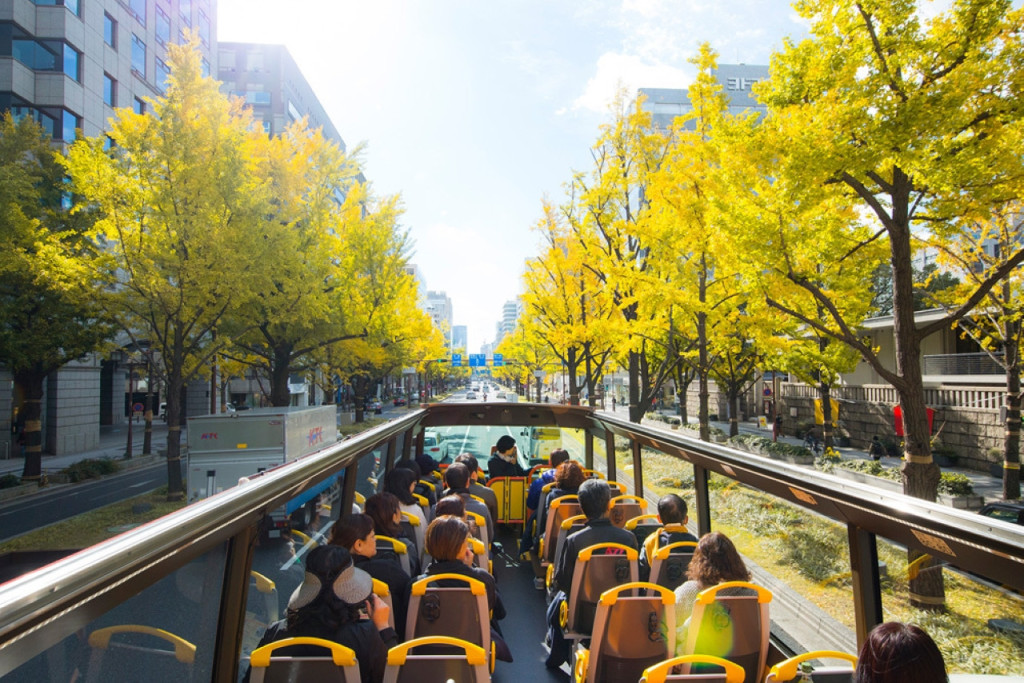 Osaka Sky Vista or Nani Wonder Sightseeing Bus Tour (Nani Wonder - Umeda Route) - 2