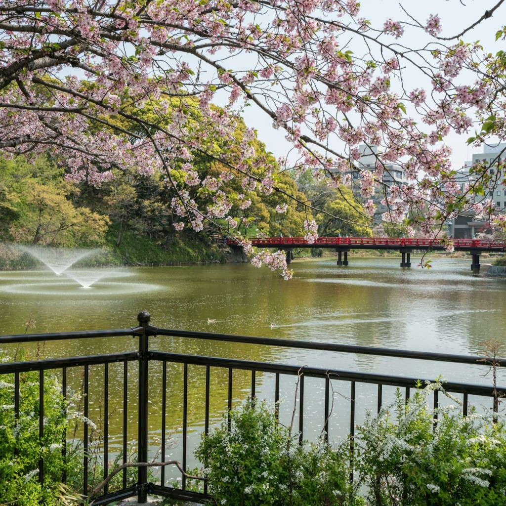Osaka: Tour guiat a peu per Tennoji Ward i Shinsekai - 2