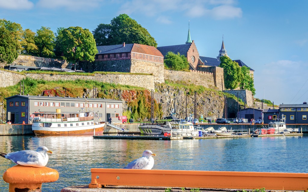 Oslo: Eco-Friendly Oslofjord Sightseeing Cruise (Eco-Friendly Electric Sightseeing Cruise) - 2