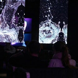 Galeria e exposição P61: Entrada de dimensões digitais - 1