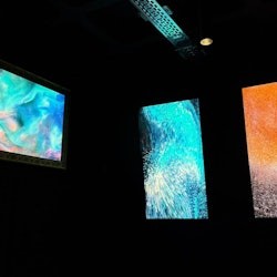 Galeria e exposição P61: Entrada de dimensões digitais - 2