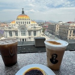 Palacio de Bellas Artes : Billet d'entrée + Visite guidée - 2