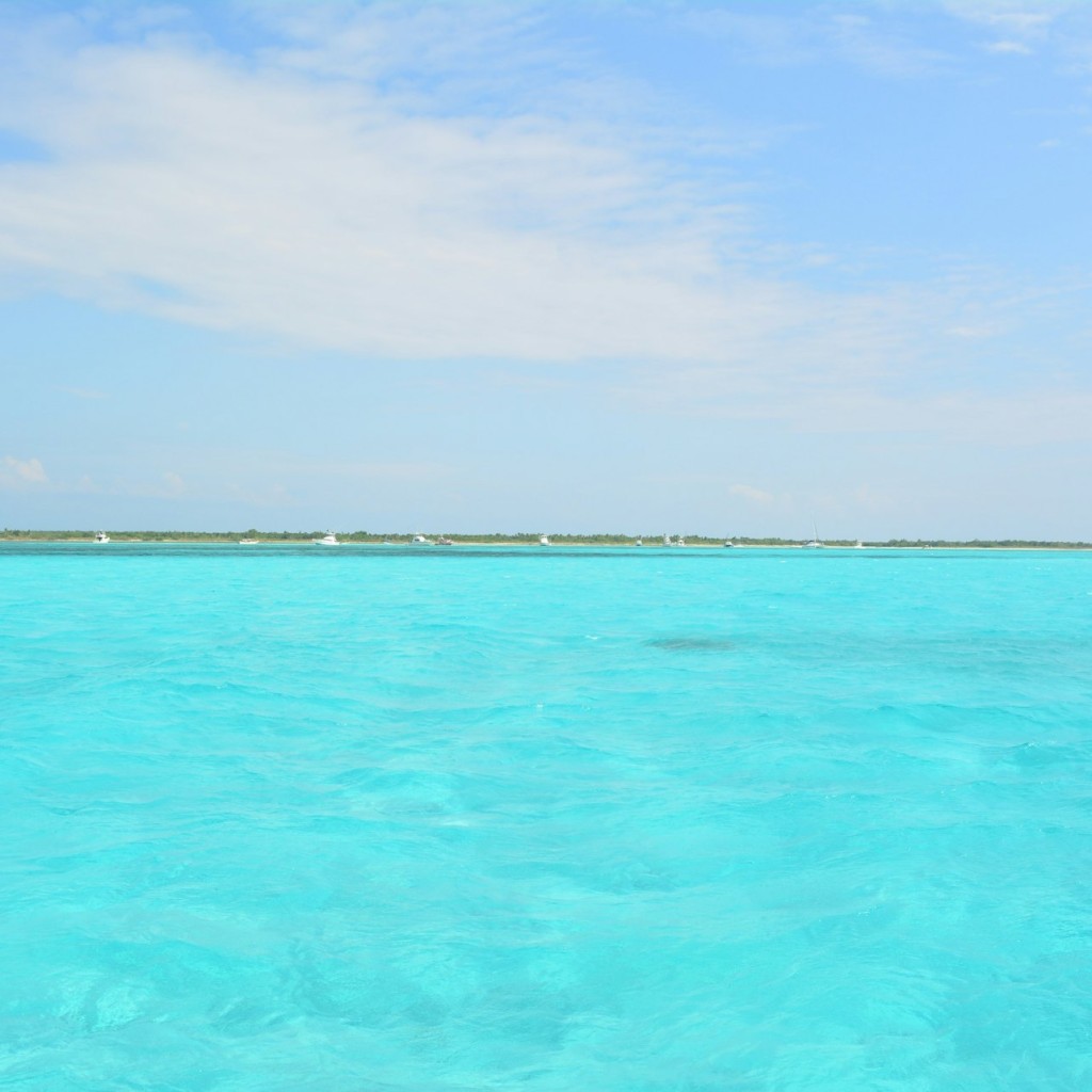 Palancar Reef & El Cielo Bay : Excursion de plongée en apnée depuis Cozumel + Déjeuner Buffet - 2