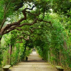 Palazzo Pitti & Boboli Gardens: Reserved Entrance + Florence City Audio Guide - 1