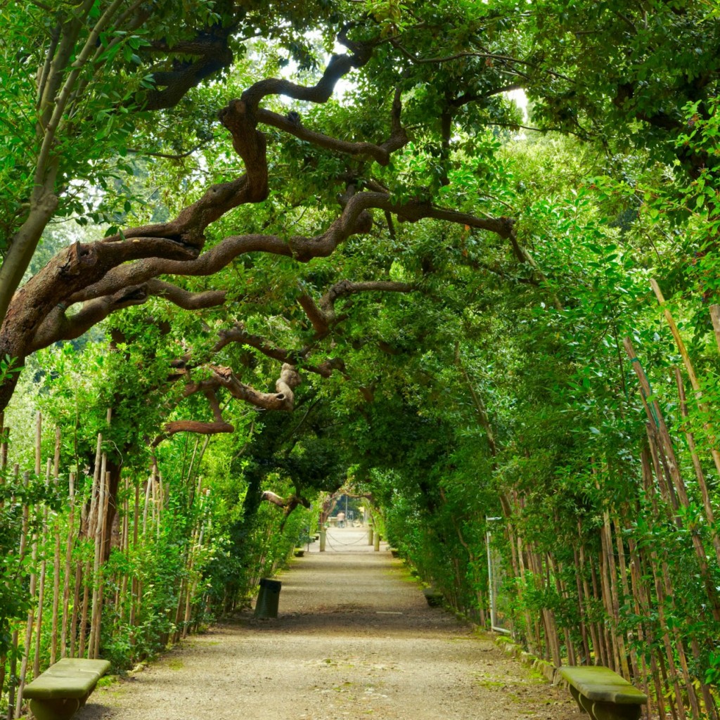 Palazzo Pitti & Boboli Gardens: Reserved Entrance + Florence City Audio Guide - 3