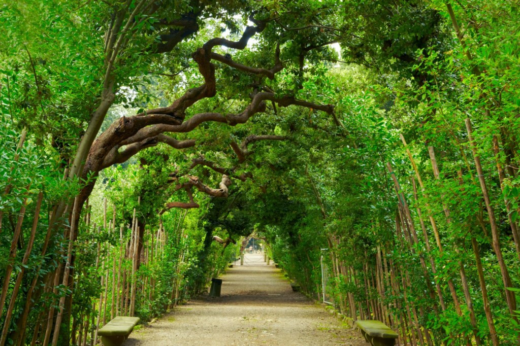 Palazzo Pitti & Boboli Gardens: Reserved Entrance + Florence City Audio Guide (Admission) - 1