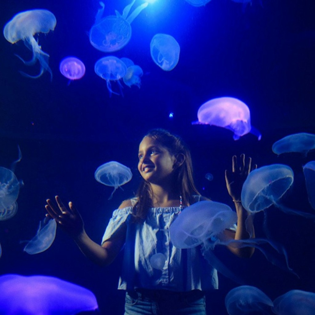 Palma Aquarium: Tiquet sense cues + Opcional 3D Cinema Aquadome - Entrance - 1
