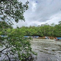 Paradise 101 Langkawi: Kilim Mangrove Guided Boat & Kayak Tour - 2
