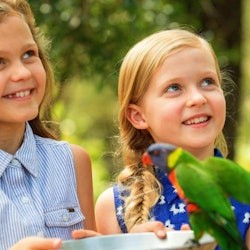 Paradise Country: Authentic Aussie Farm Experience - 1