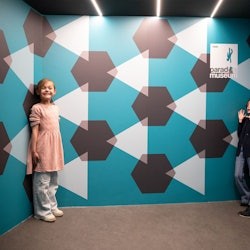 Paradox Museum Paris: Priority Entry Ticket - 1