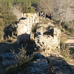 Parc Naturel Régional des Alpilles: Guided Tour from Arles - 2