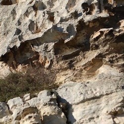 Parc Naturel Régional des Alpilles: Guided Tour from Arles - 3
