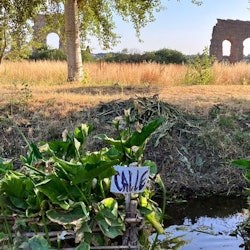 Parco degli Acquedotti: Urban Hike to Ancient Ruins - 3
