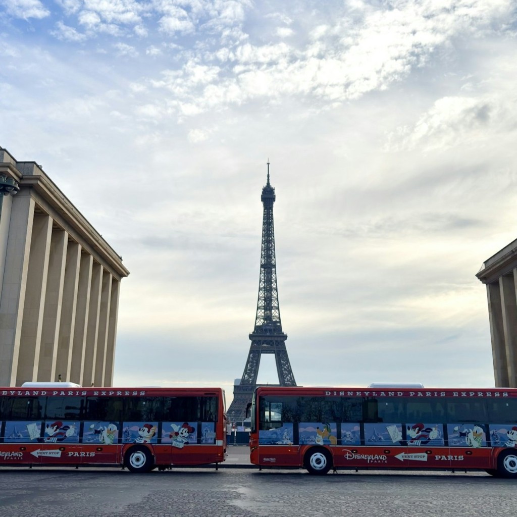 Creuer turístic i excursió d'un dia a París des de Disneyland® París - 1