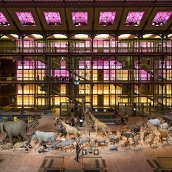 Paris Family Fun Pass - 2