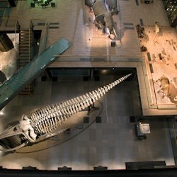 Paris Family Fun Pass - 3